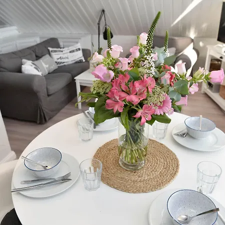 Daire Herzmuschel Hörnum