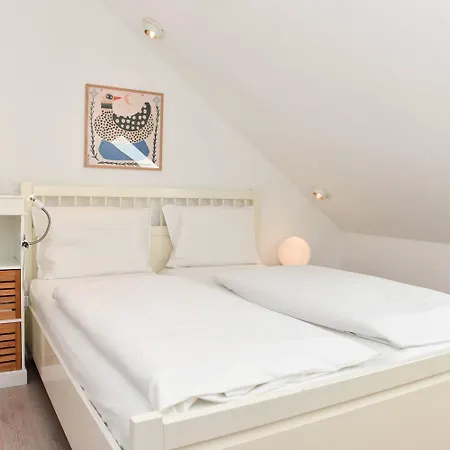 Daire Herzmuschel Hörnum