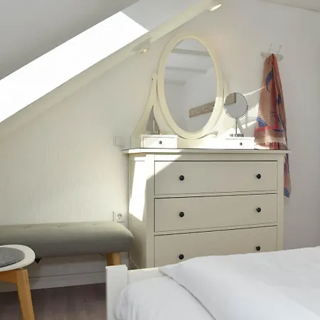 Herzmuschel Daire Hörnum