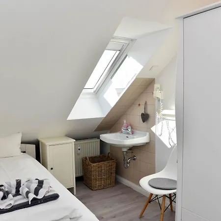 Daire Herzmuschel Hörnum