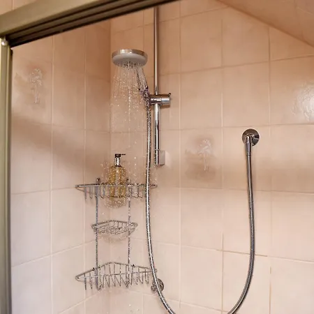 Herzmuschel Daire Hörnum